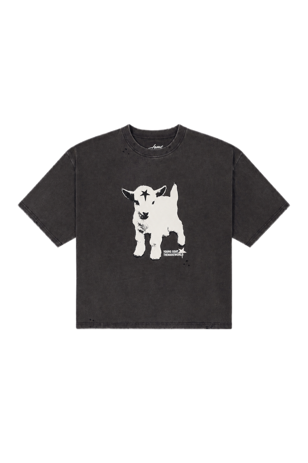 young goat
